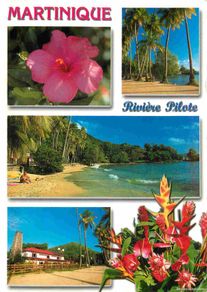 Cartoline: Martinique - Anse Figuier - Rivière Pilote - Multivues - Fleurs - CPM - Voir Scans Recto-Verso